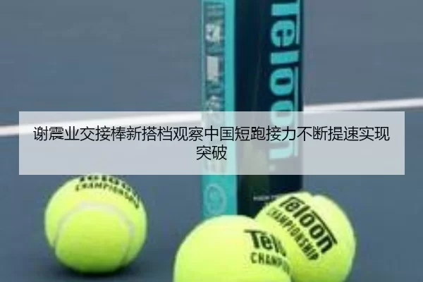 谢震业交接棒新搭档观察中国短跑接力不断提速实现突破