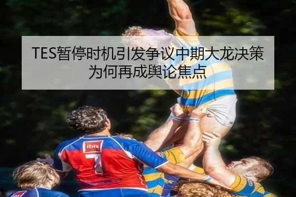 TES暂停时机引发争议中期大龙决策为何再成舆论焦点